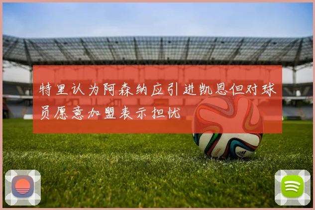 特里认为阿森纳应引进凯恩但对球员愿意加盟表示担忧